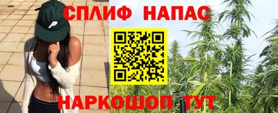 spice Заволжье